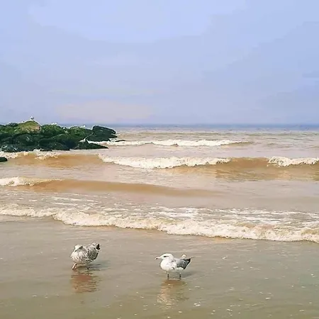 公寓 In Near The Beach, Cleaning Included